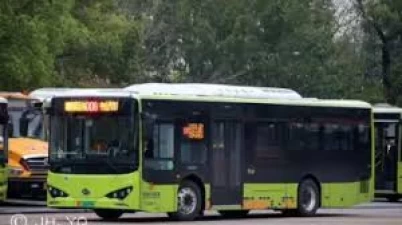 Modelo Real na Vida Real - SingleDecker