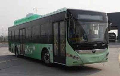 Modelo Real na Vida Real - SingleDecker