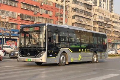 Modelo Real na Vida Real - SingleDecker