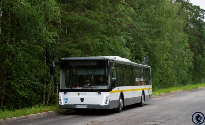 Modelo Real na Vida Real - SingleDecker