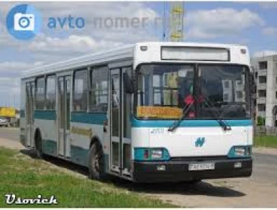 Modelo Real na Vida Real - SingleDecker
