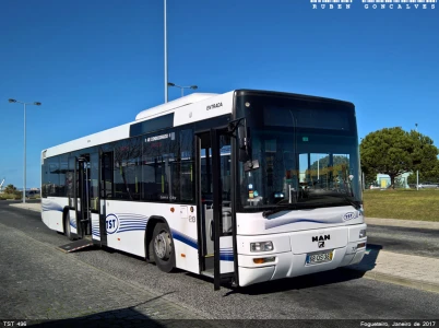 Modelo Real na Vida Real - SingleDecker