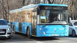 Modelo Real na Vida Real - SingleDecker