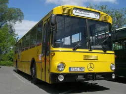 Modelo Real na Vida Real - SingleDecker