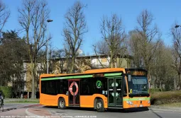 Modelo Real na Vida Real - SingleDecker