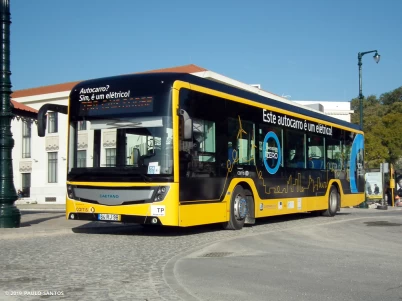 Modelo Real na Vida Real - SingleDecker